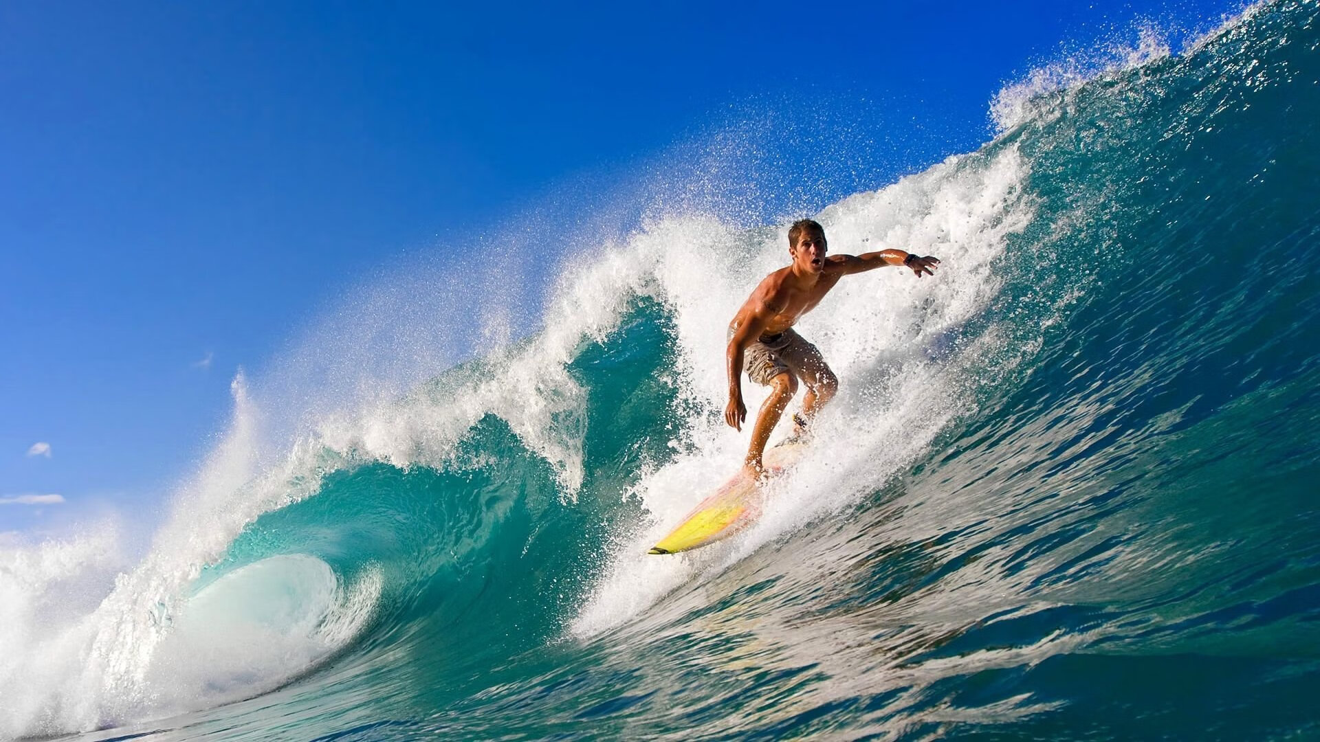 未来联盟：虚拟互动与沉浸式观赛技术盛大开启！，未来lol